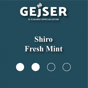 Shiro - 01 Fresh Mint Regular Slim pris: 40 